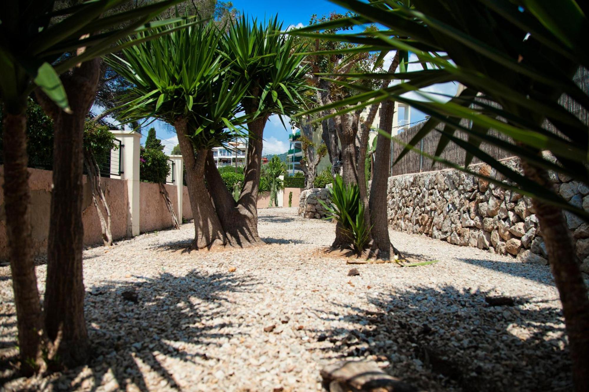 Naika Studios & Apartments Palmanova Extérieur photo